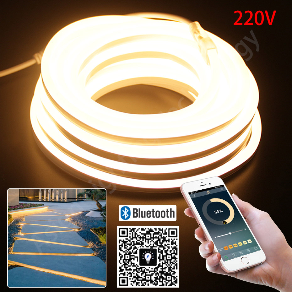 Outdoor Power Strip Weatherproof - Striscia al neon a LED 220V